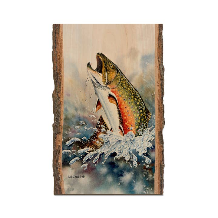 Brook Trout - Wood Magnets & Postcards for wholesale by DaydreamHQ