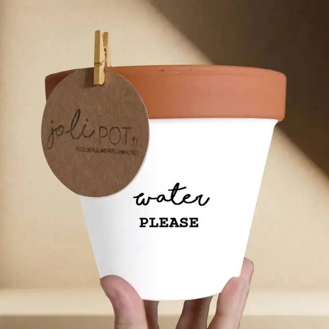 Pot de fleur, cache-pot "Water please" pour la vente par Joli Pot