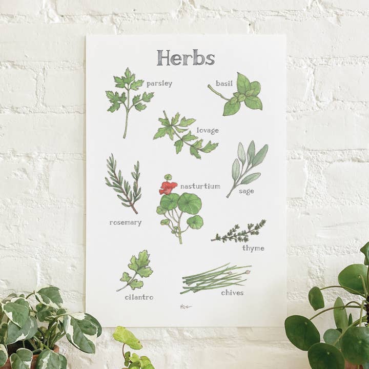 Poster/Kruiden voor wholesale door Yeesan Loh