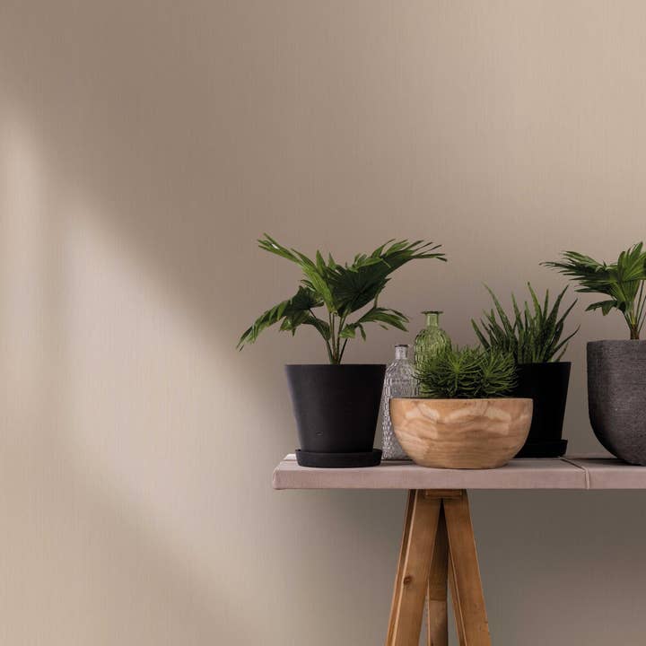 Carta da parati beige uni per camera da letto, soggiorno o cucina. per la vendita all'ingrosso da parte di Marburg