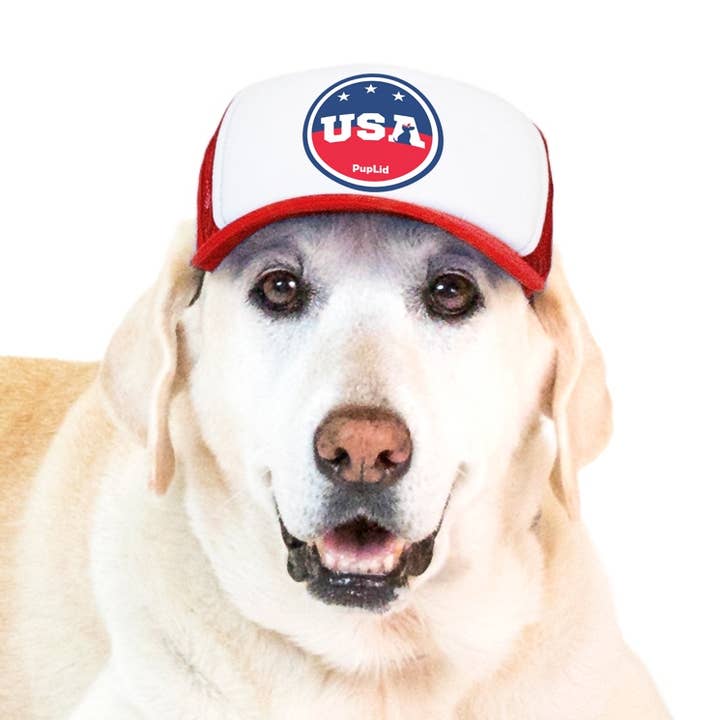 PupLid – wholesale Hatt - Hund – USA Stars Design l Truckerhatt för hundar6