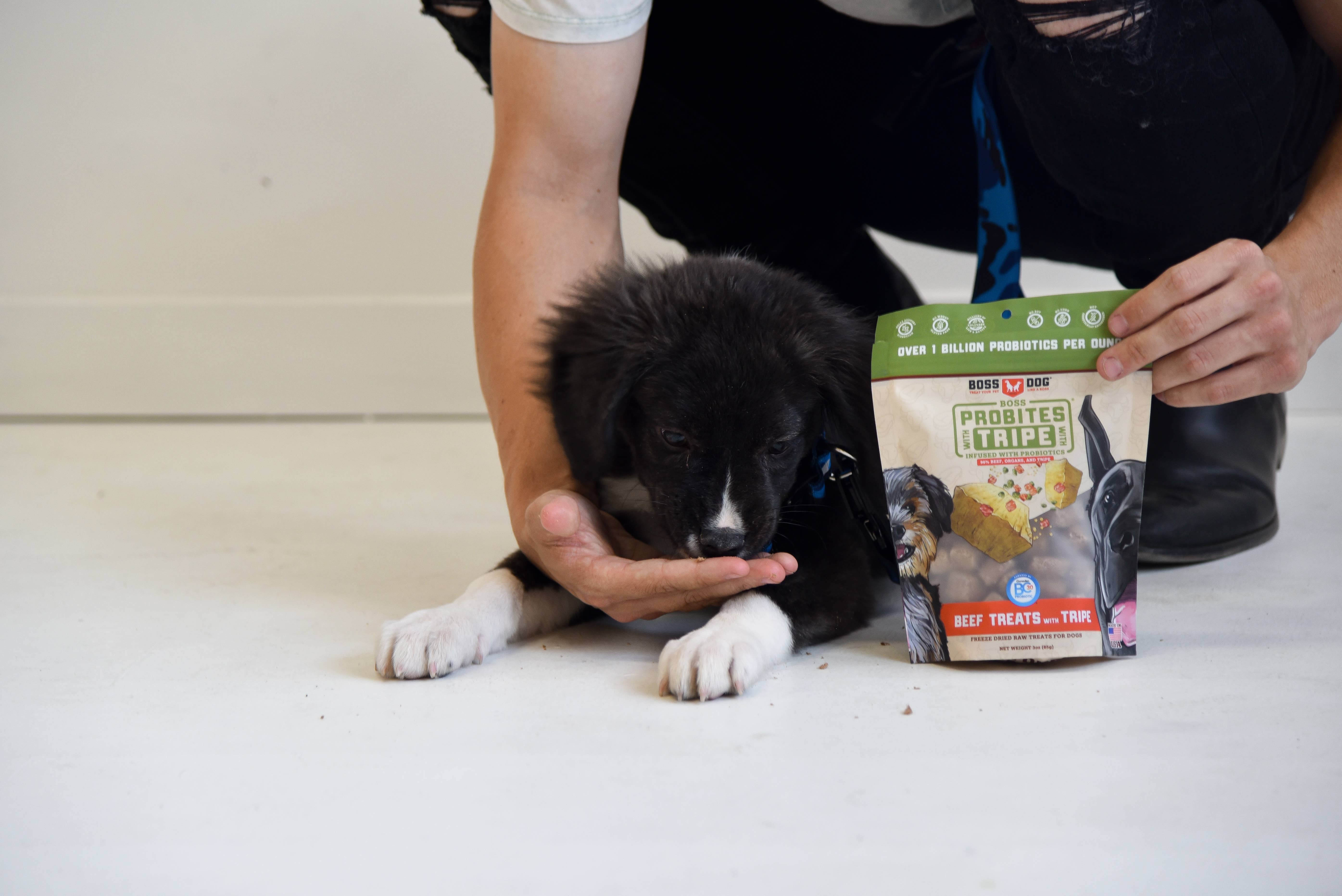 BOSS DOG BRAND, INC. - Wholesale Pet Treats - Dog - Boss Dog & Boss Cat Probites W/ Tripe- Beef (3oz)2