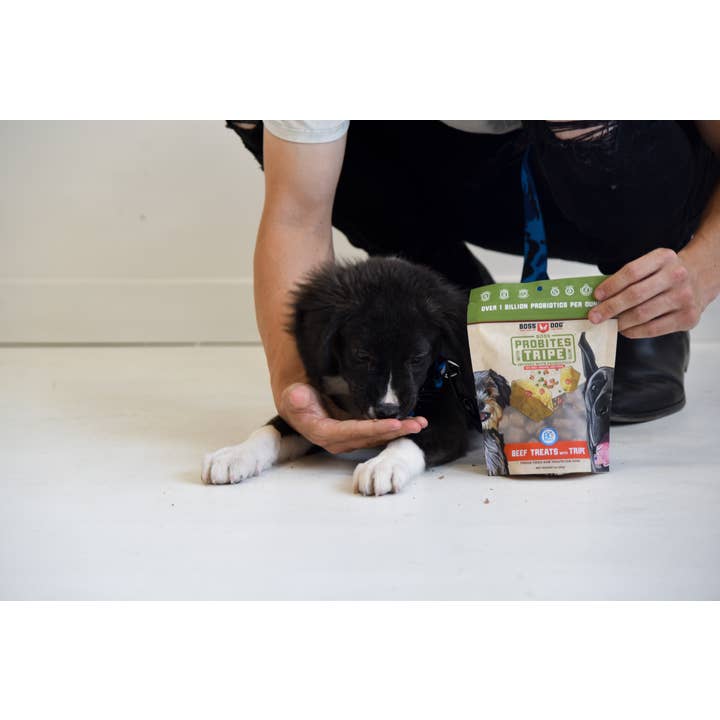 BOSS DOG BRAND, INC. - Wholesale Pet Treats - Dog - Boss Dog & Boss Cat Probites W/ Tripe- Beef (3oz)2