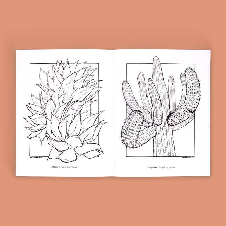 Cacti Oasis© - Wholesale Coloring & Activity Book - Adult - The Cacti Oasis© Coloring Book: Cacti & Succulents3