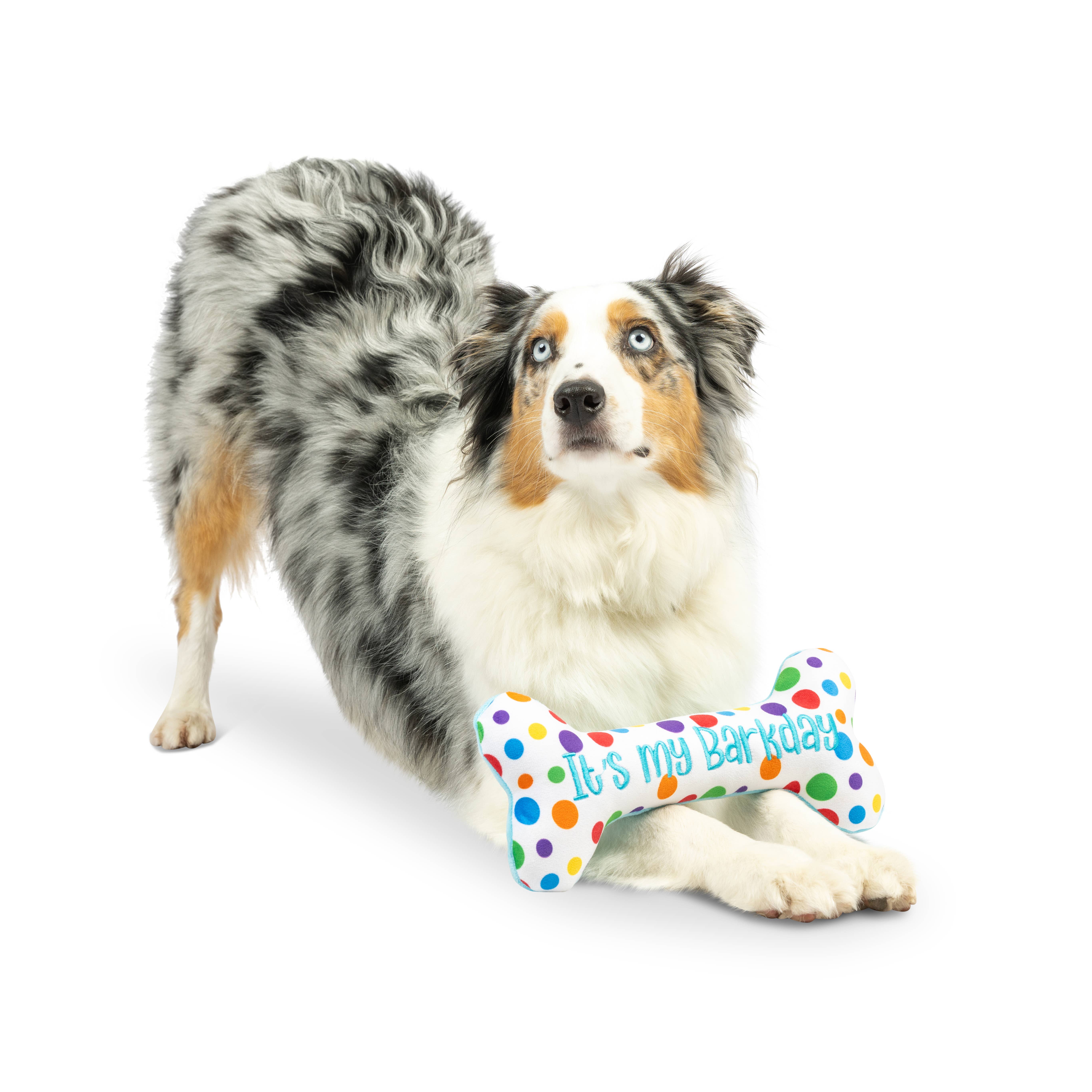 Huxley & Kent - Wholesale Pet Plush Toy - Dog - It's My Barkday Bone Dog Toy (Double Sided)6