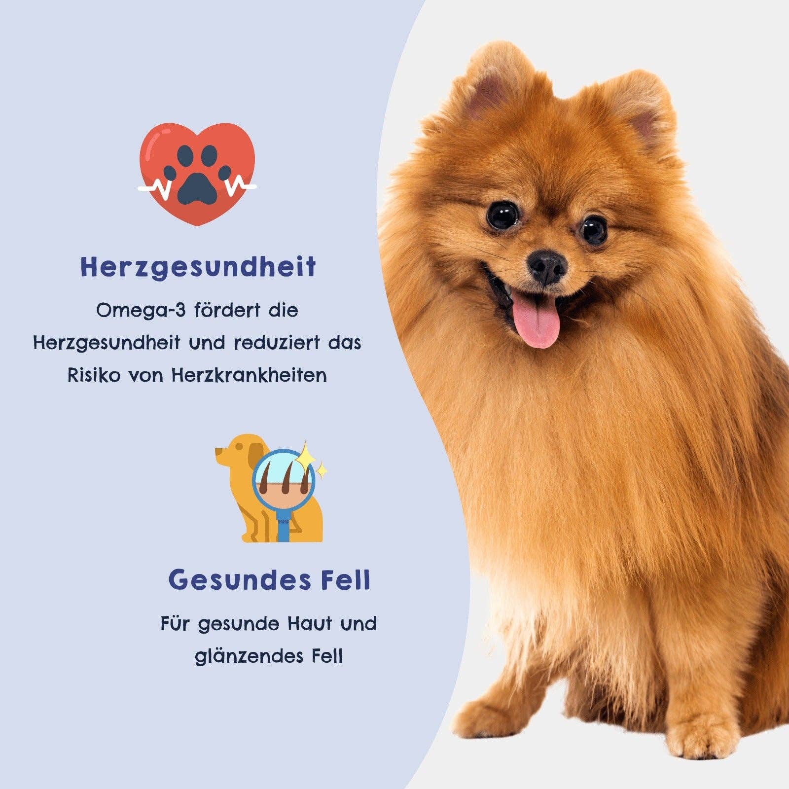 HAPPY JACKY - Wholesale Pet Food - Dog - Hemp oil1