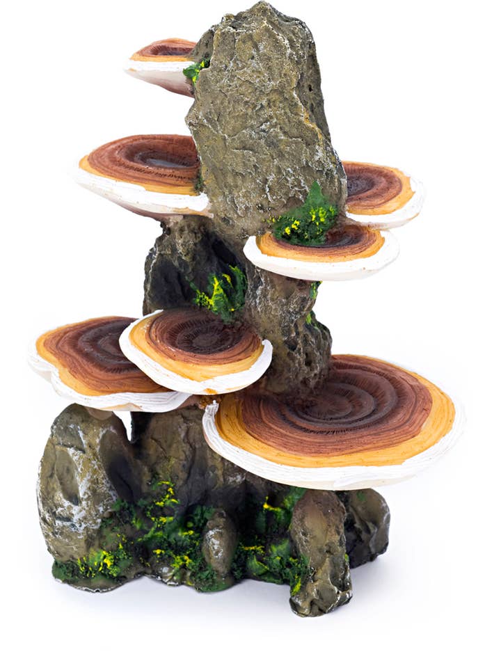 Deco-Replicas Tree Trunk with Shelf Mushrooms Decoration for wholesale by Penn-Plax