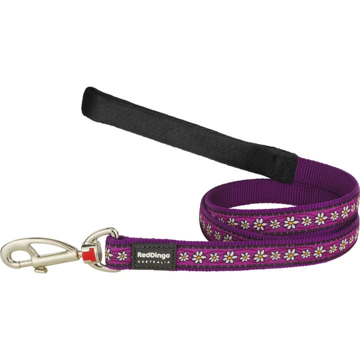 Red Dingo Dog Lead Design Daisy Chain Purple 1.2m for wholesale by Sherwood Paws