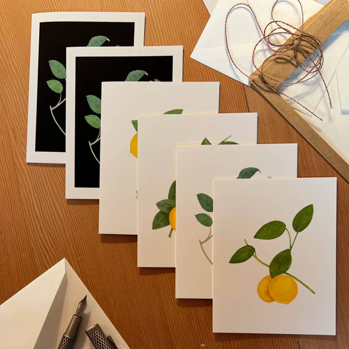 VMazzoni - Wholesale Stationery/Notecard Set - Boxed Lemon Note Card Set of Six