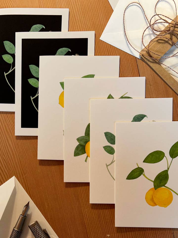 Æske med citronnoteskort sæt med seks for engroshandel hos VMazzoni