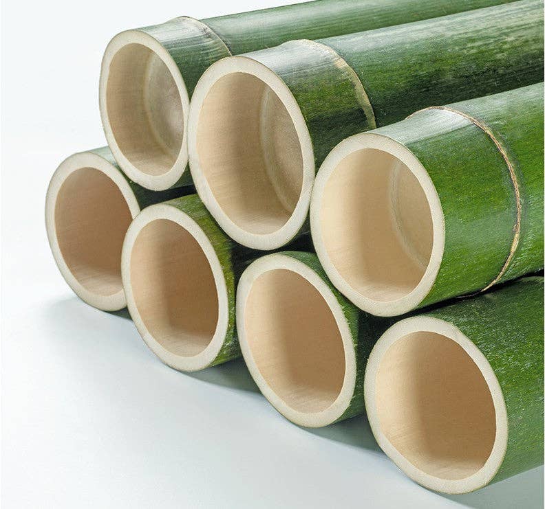 everythingbamboo - Wholesale Bookcase - Large Size Pure Bamboo Book Shelf Cabinet Simple Solid Storage Fantastic 5 and 6 Tiers BBC038