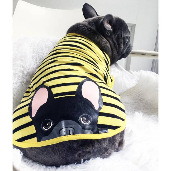 Frenchiestore - Wholesale Pet Shirt - Dog - Frenchie Shirt | Black French Bulldog in Bumblebee1