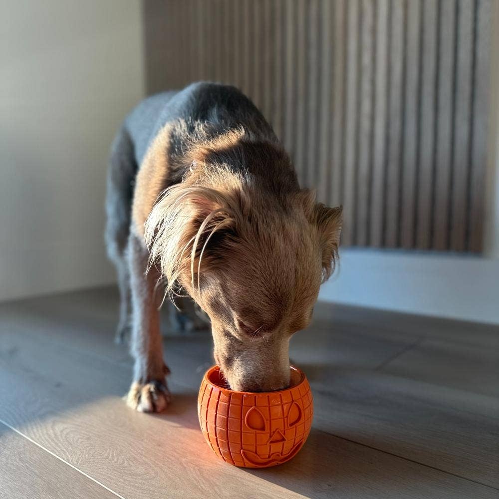 Freezbone - Wholesale Pet Chew Toy - Dog - FreezPumpkin - M2