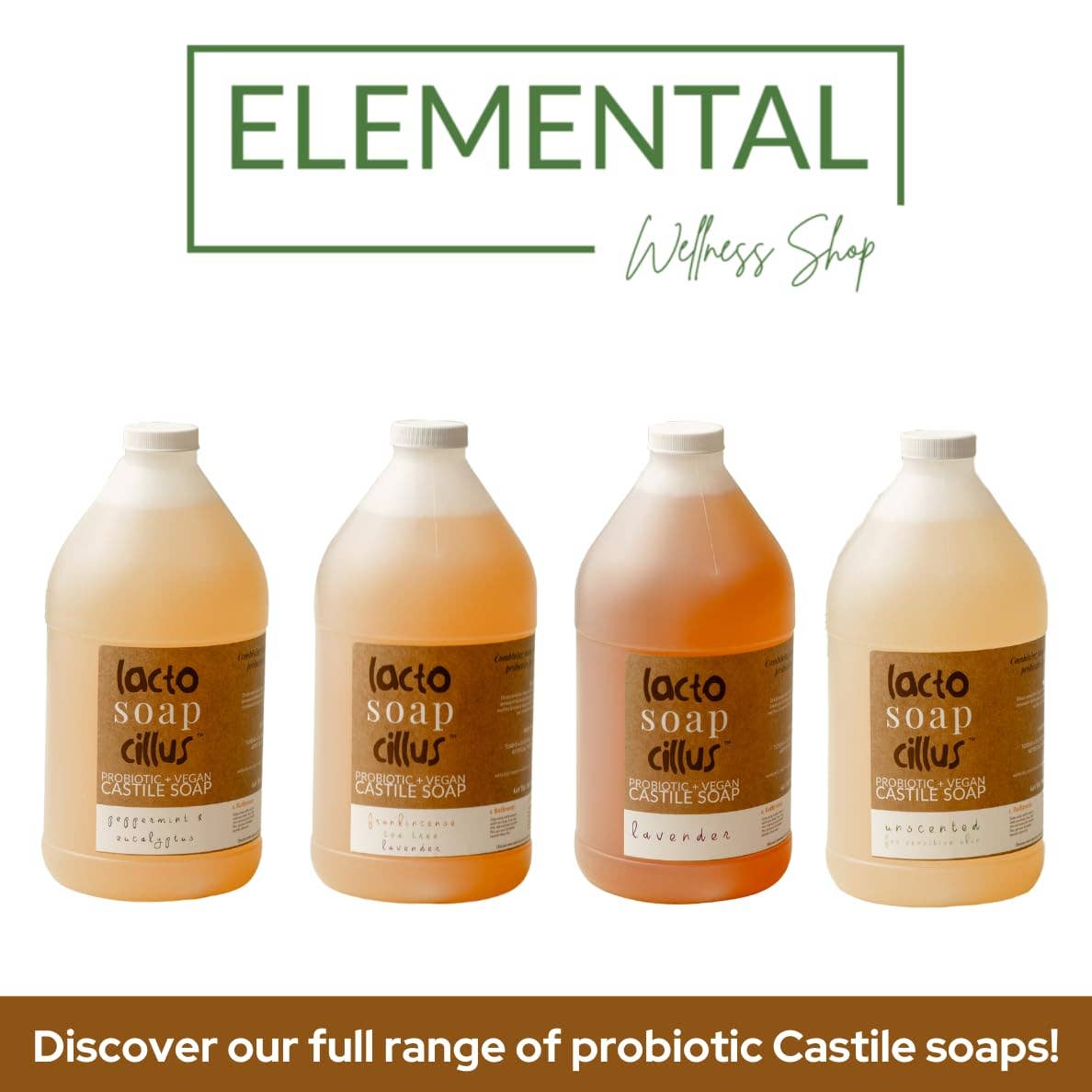 Elemental Wellness | Soap & Toxin-Free Living – wholesale Body wash/shower gel – Frankincense Castile Soap | Bulk Natural Soap (64 oz)7