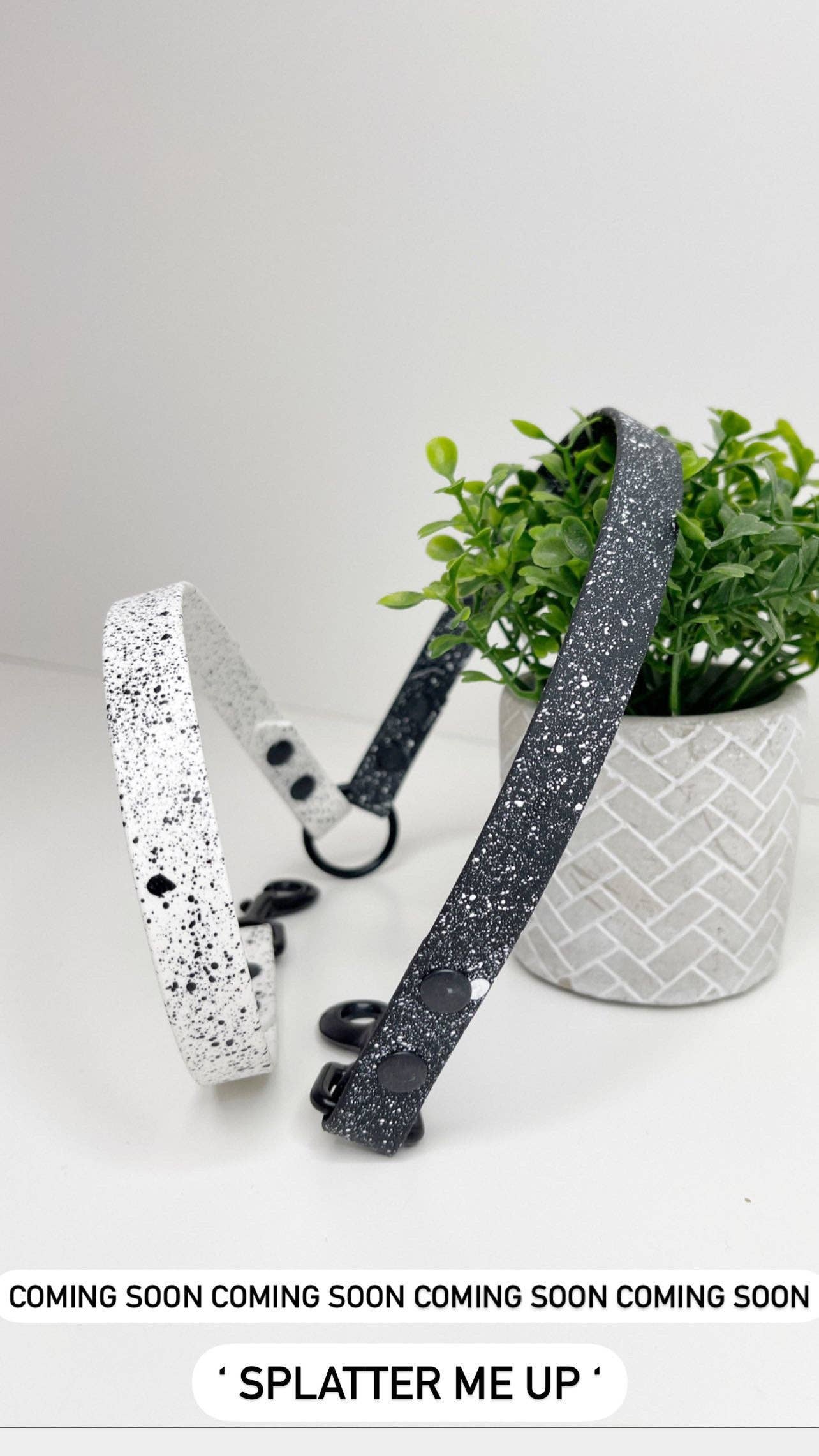 My Pawchella - Venta al por mayor Correa - Perros - Biothano/divisor de correas de colores14