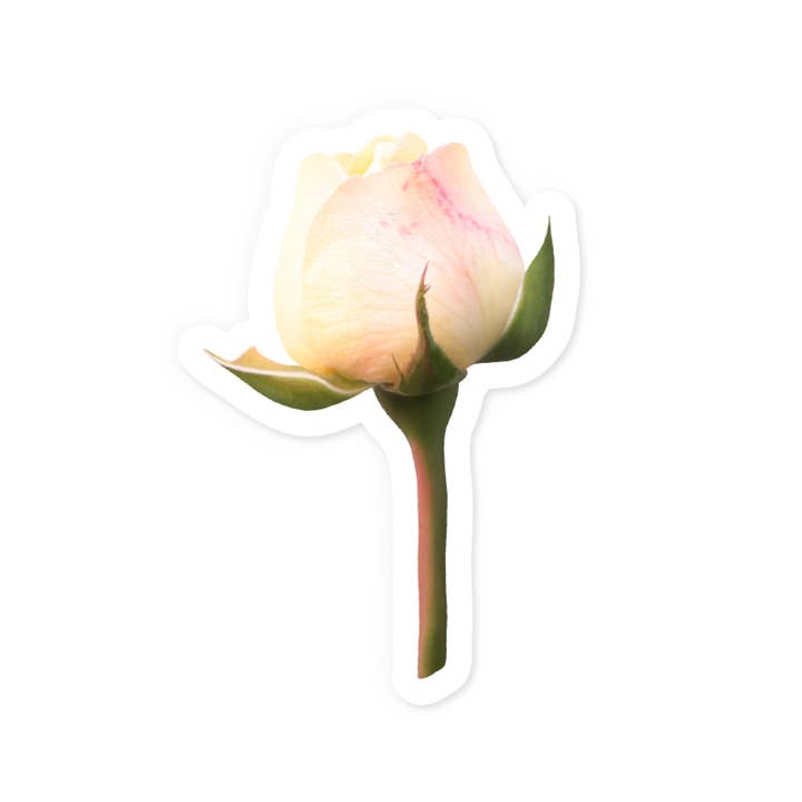 Yellow Rose Sticker for wholesale by The Retail Supply
