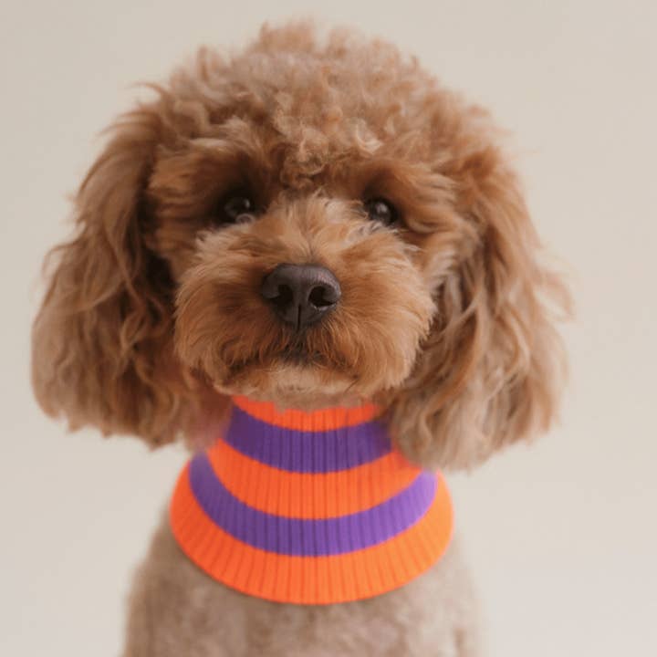 THE GLOW LOOP 2.0 - Neon Dog Scarf - (Poppy Lavender) for wholesale by lumiies - high visibility