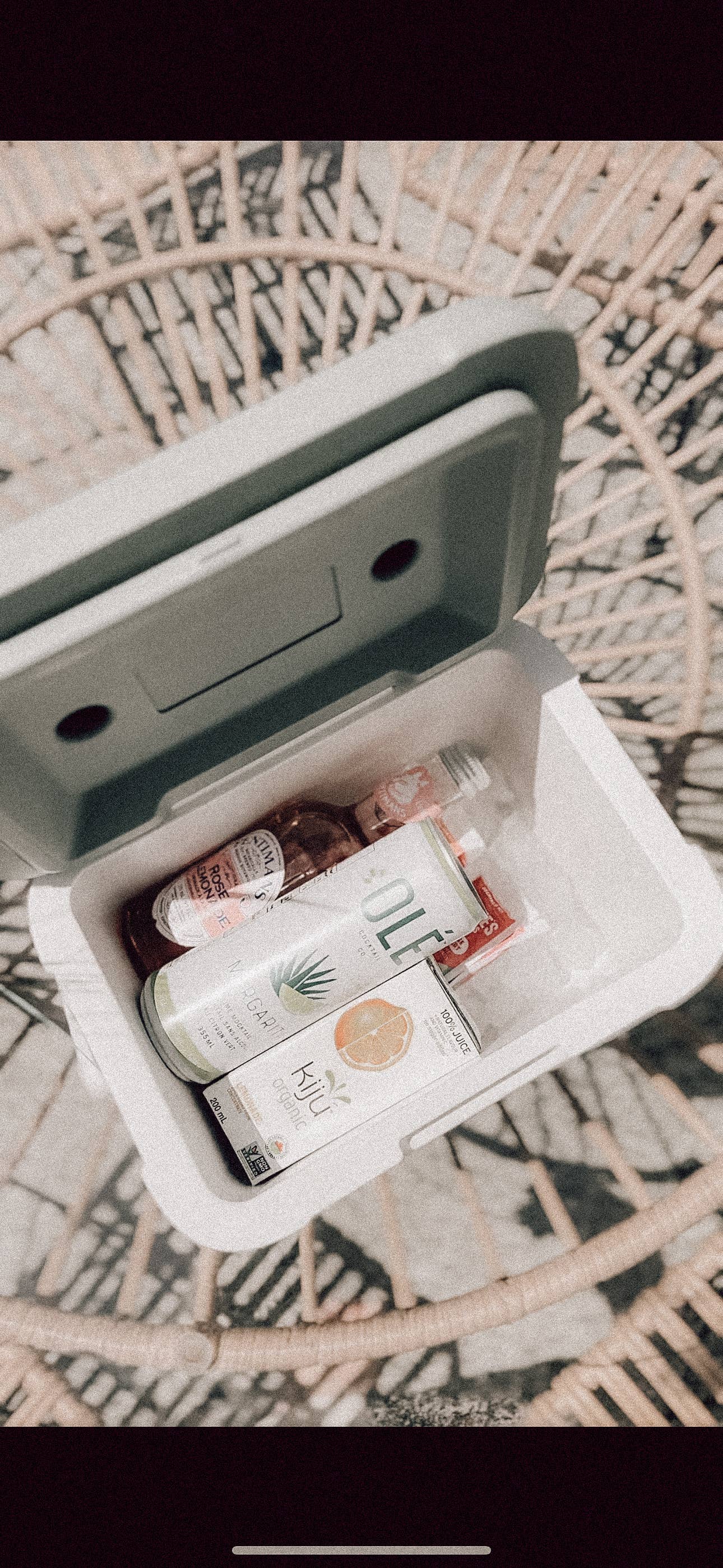 Sauge Mini glacière dure Sage en vente sur Faire2