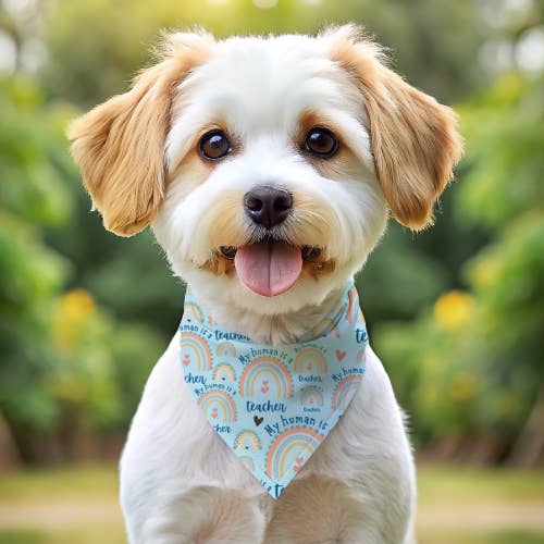 My Human is a Teacher - Double Sided Bandana CAT DOG FASHION for wholesale by Hello Coucou