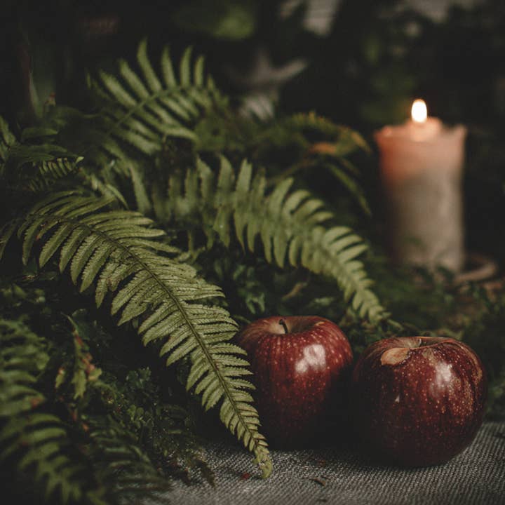 Fern & Apples | Candle for wholesale by VORA + VINE