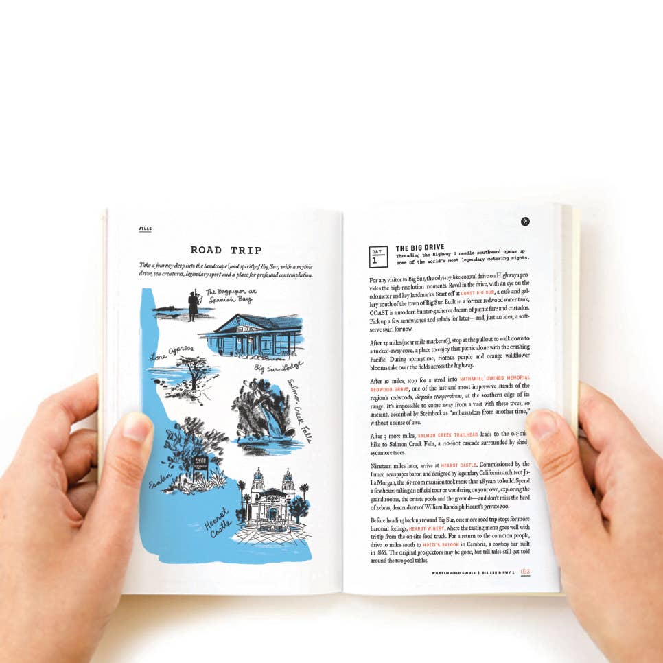 Wildsam Field Guides - Wholesale Nature & Outdoors - Big Sur & Highway 1 Field Guide2