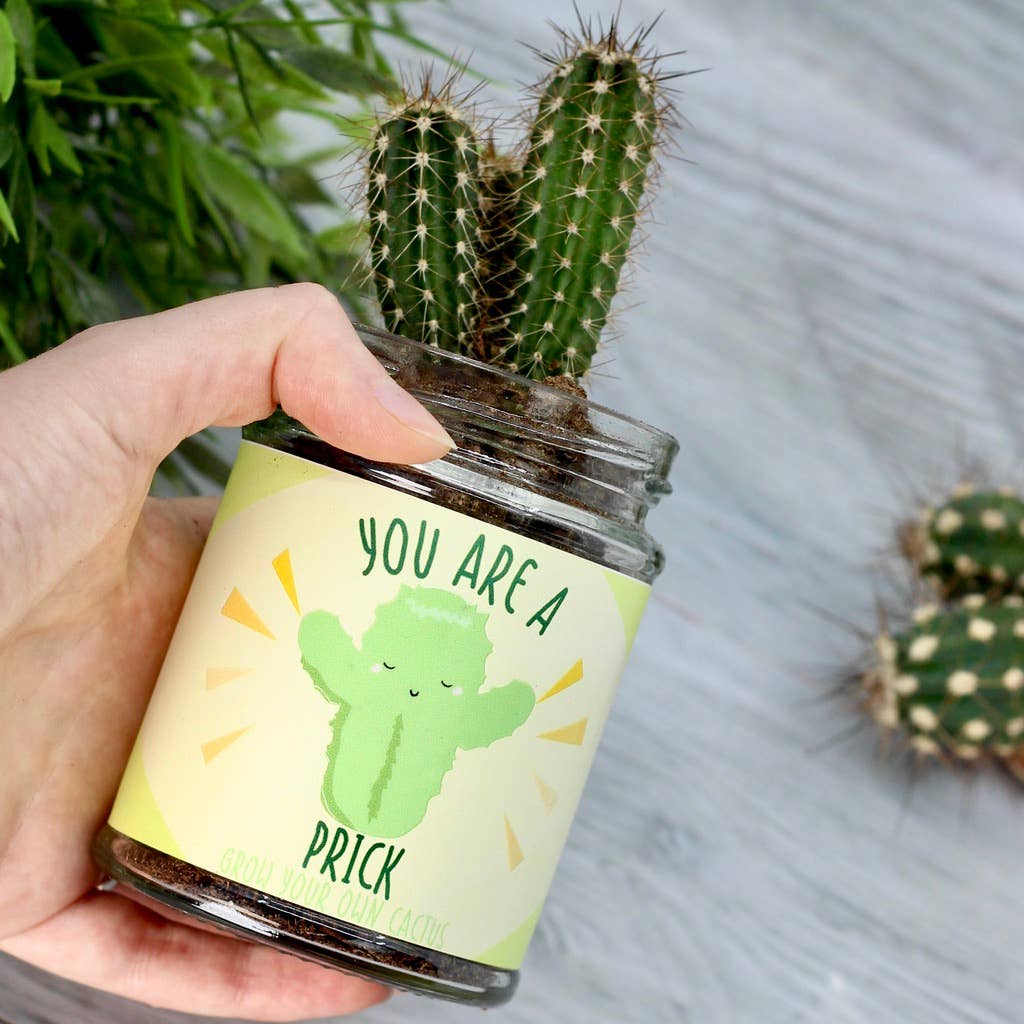 BEEcycle - Wholesale Plant Seeds - Cactus Jar Grow Kit1