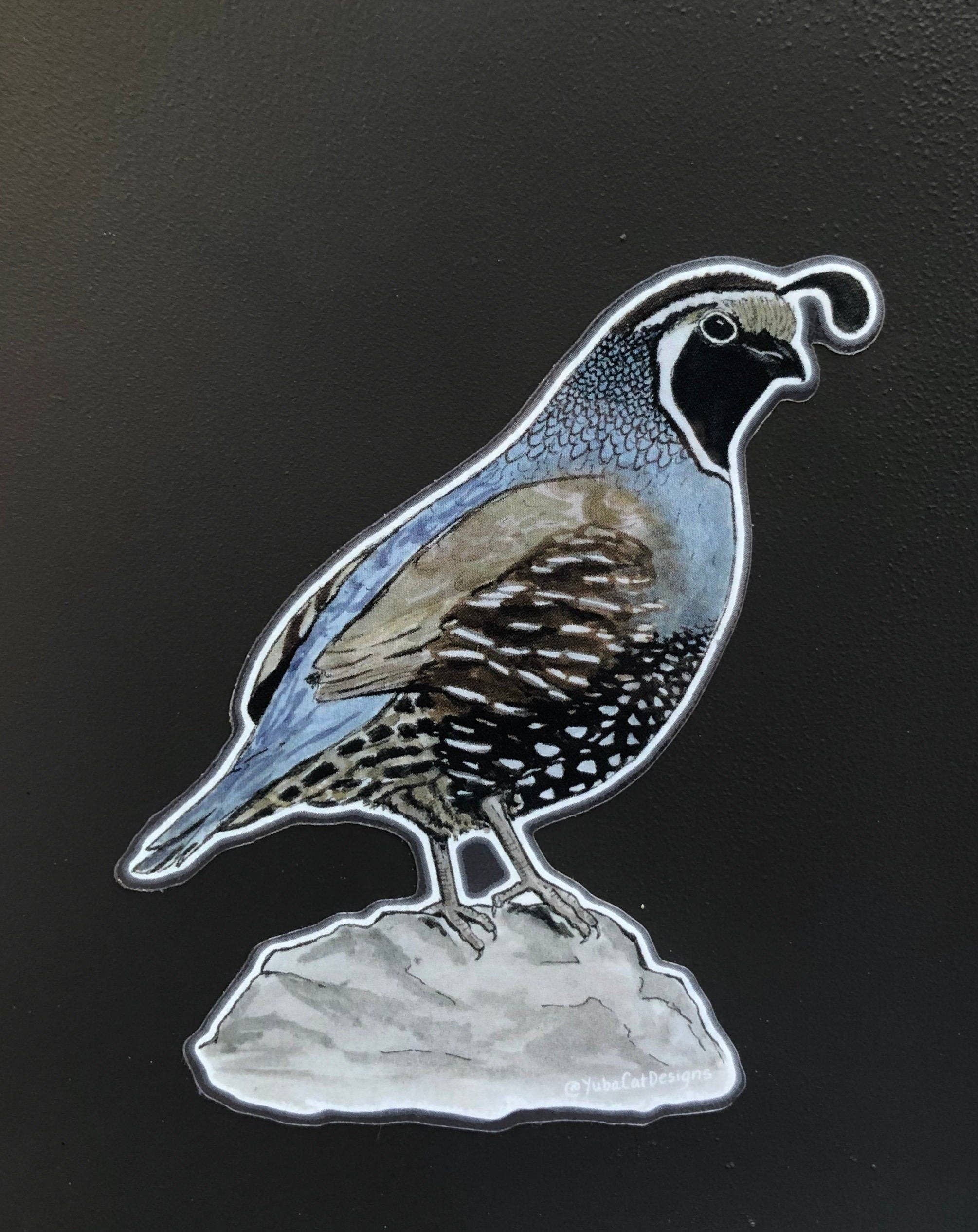 YubaCat Designs - Wholesale Sticker - California Quail sticker2