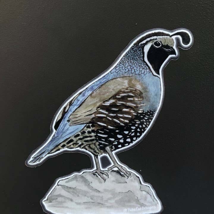 YubaCat Designs - Wholesale Sticker - California Quail sticker2