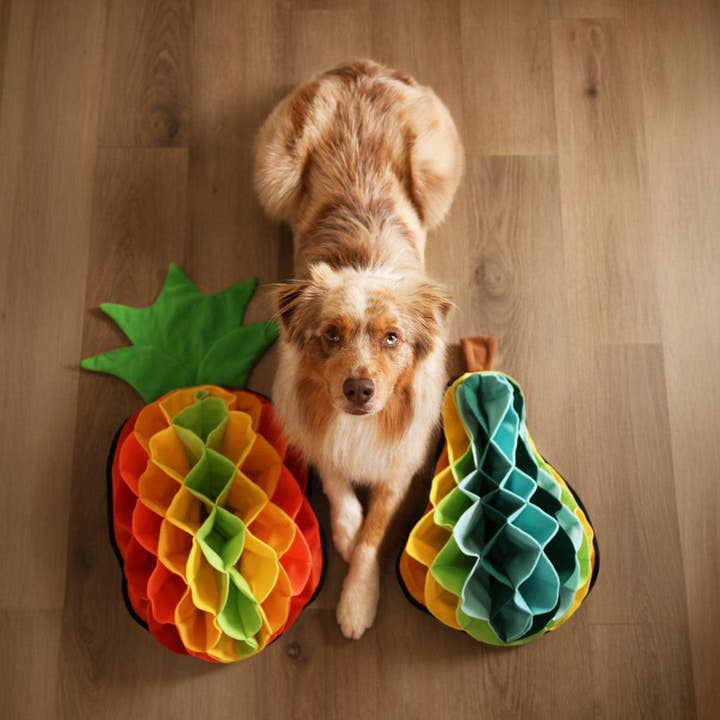 Stylish Hound - Wholesale Pet food mat – Dog - Pineapple Advanced Snuffle Pad3