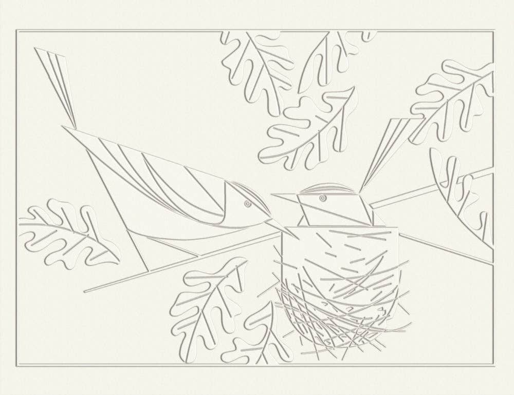 Pomegranate – wholesale Stationery/notecard set – Charley Harper: Birds Embossed Boxed Notecard Assortment4