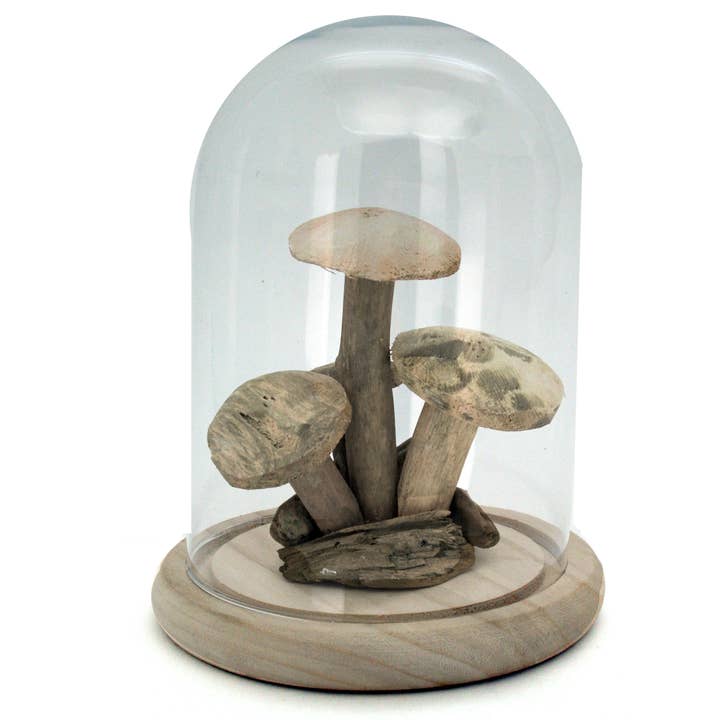 Driftwood Mushrooms in Cloche Dome for wholesale by Modern Eastern by Contrast Inc.