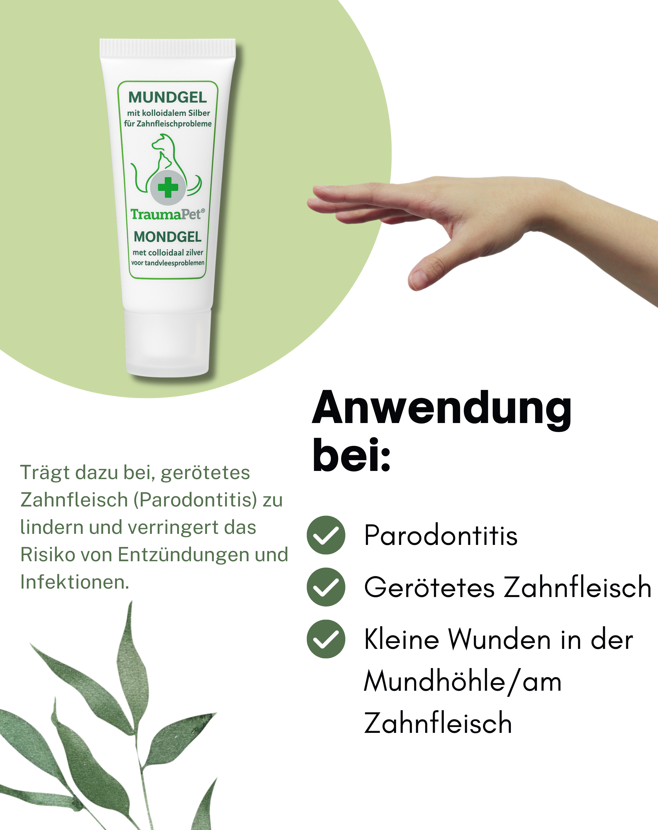 TraumaPet Deutschland - Vente Compléments alimentaires – chat et chien - Gel buccal au collagène d'argent pour animaux | parodontite1