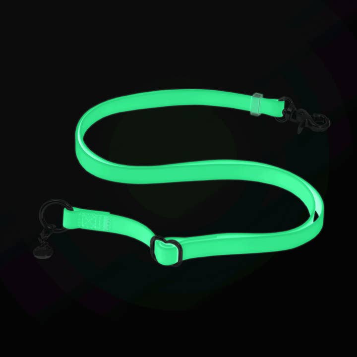 Extension 4 voies pour laisse nuage lumineux lunaire pour la vente par SUNNY TAILS