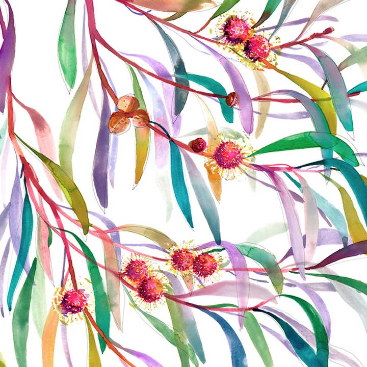 Natalie Martin | Australian Watercolour Artist - Venta al por mayor Tarjetas de felicitación - Tarjeta de felicitación 'La Hakea del Bulevar'2