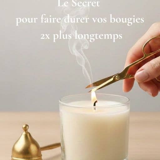 The Maintenance Guide: "The Secret to Make Your Candles Last 2x Longer" for wholesale by Affinie