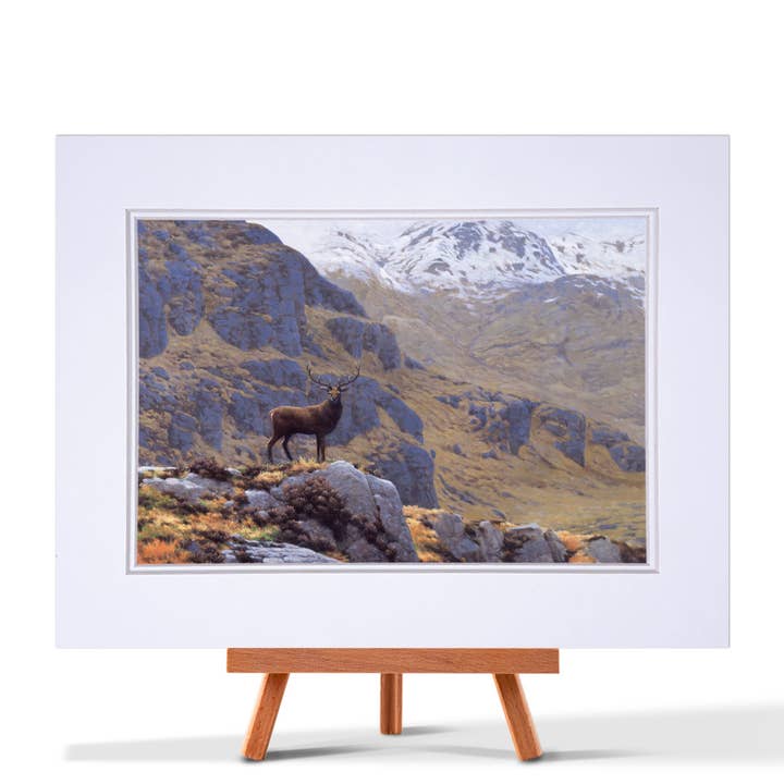 Stag Early Spring Fine Art Print for wholesale by Julian Friers Wildlife Art & Gifts