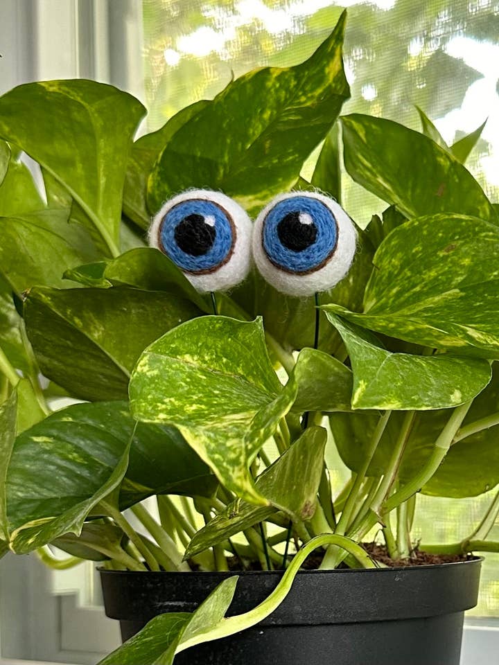 Plant Eyeballs- Choose your colors and quantity and other Purchase Wholesale hl1738. Free Returns & Net 60 Terms on Faire trending on Faire.