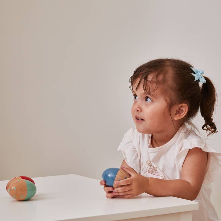 Barbo Toys - Wholesale Wood Toy - Kids - Barbo Wood - Wooden Egg shaker Display (with 12pcs) FSC5