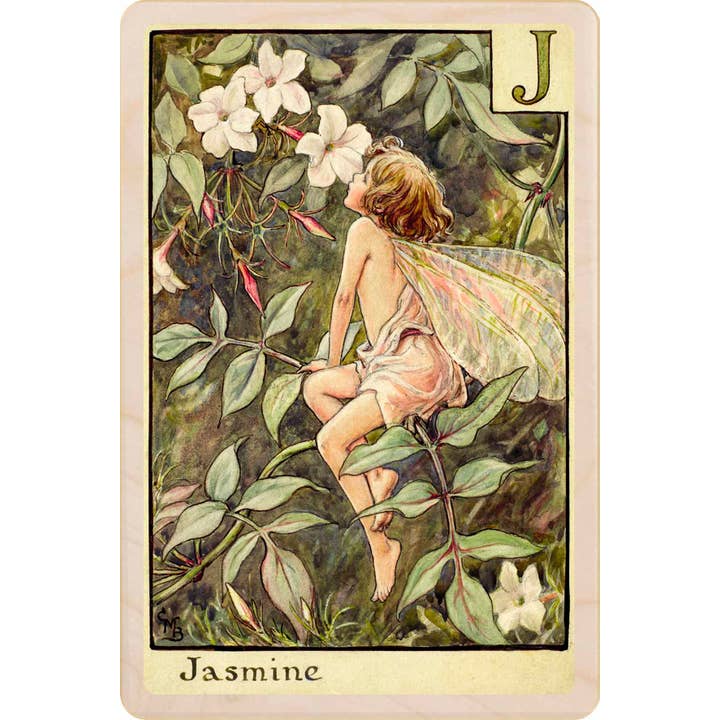 THE WOODEN POSTCARD COMPANY - Wholesale Everyday Greeting Card - J - JASMINE FAIRY wooden postcard, wooden magnet