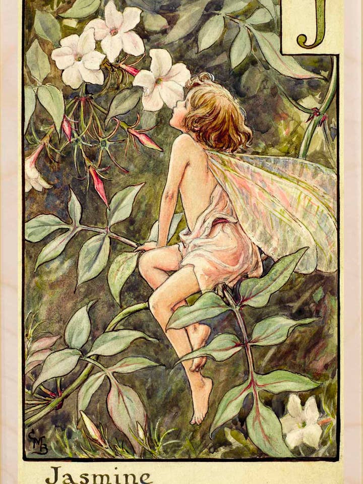 Jasmine Fairy - Cartões e ímanes ecológicos por atacado de THE WOODEN POSTCARD COMPANY