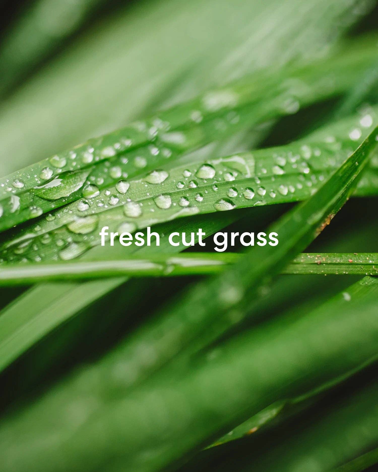 Literie - Wholesale Jar/Filled Candle - Weekends on the Golf Course3