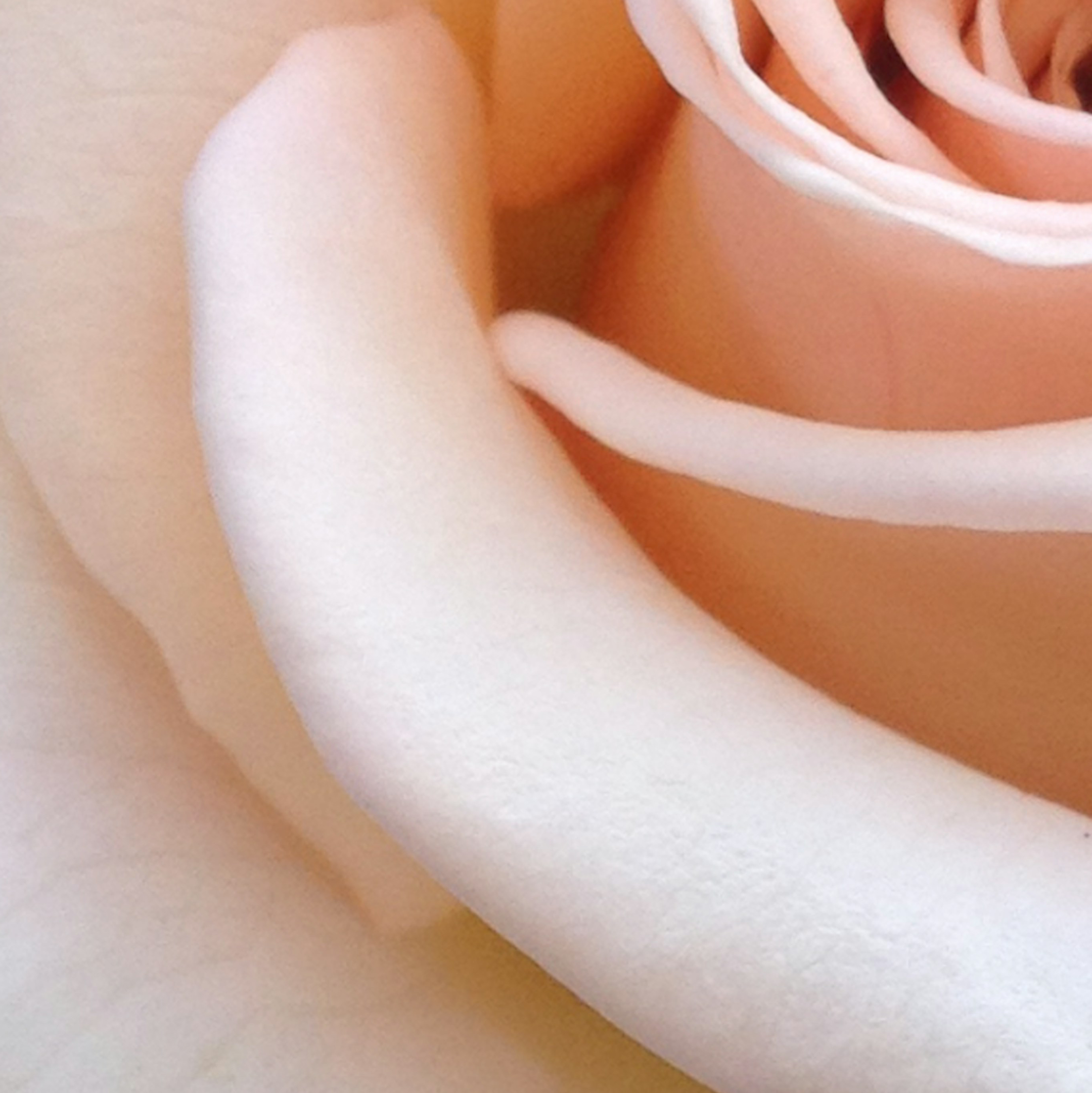 B Calm Ltd – wholesale Face & body mist/water – Rose Water Hydrosol Mist 100 ml1