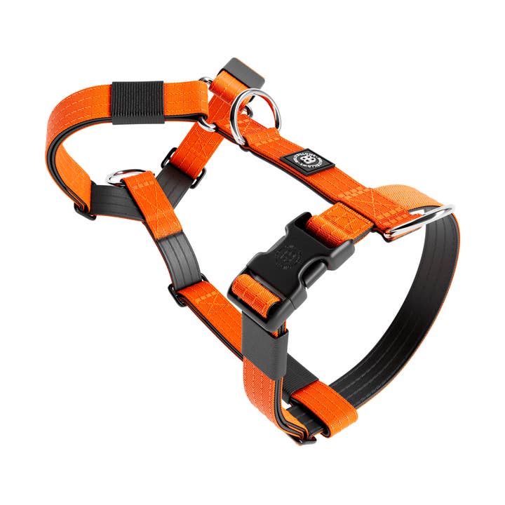 Training No Pull TRI-Harness® | Small Breeds - Orange for wholesale by BullyBillows Ltd