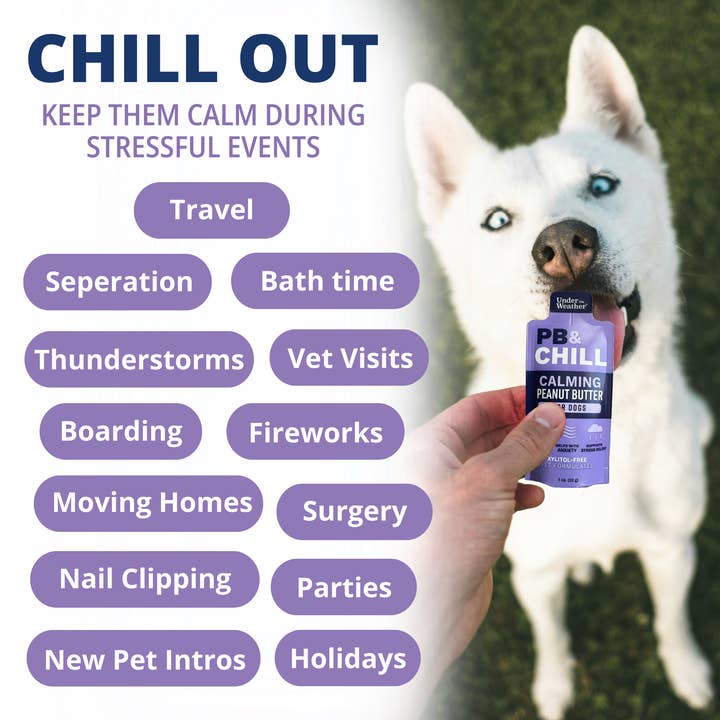 Pet Palette Distribution - Wholesale Pet Treats - Dog - Under the Weather PB & Chill Calming Peanut Butter 1oz