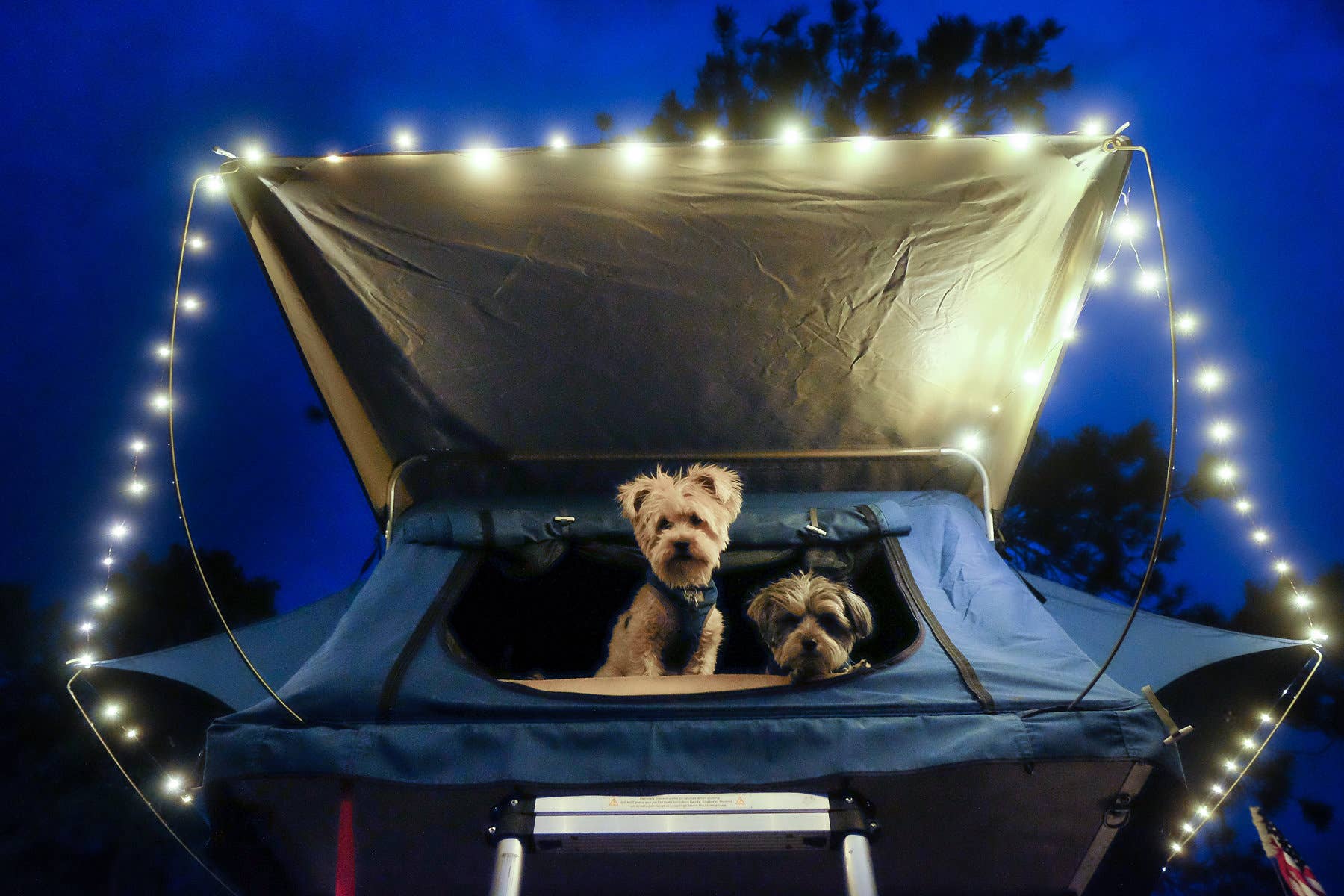 Revel Gear - Wholesale String Lights - Trail Hound™ 30ft. LED Dimmable USB Camping Light Warm White10