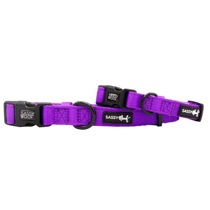SASSY WOOF - Wholesale Pet Collar - Dog - Dog Collar - Neon Purple
