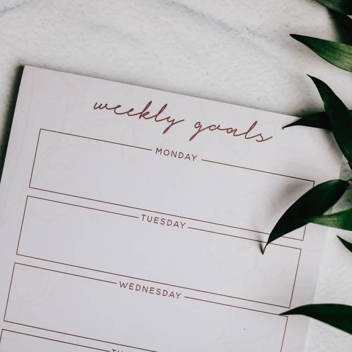 The Daily Grace Co - Wholesale Notepad - Weekly Goals Notepad | Blush Floral
