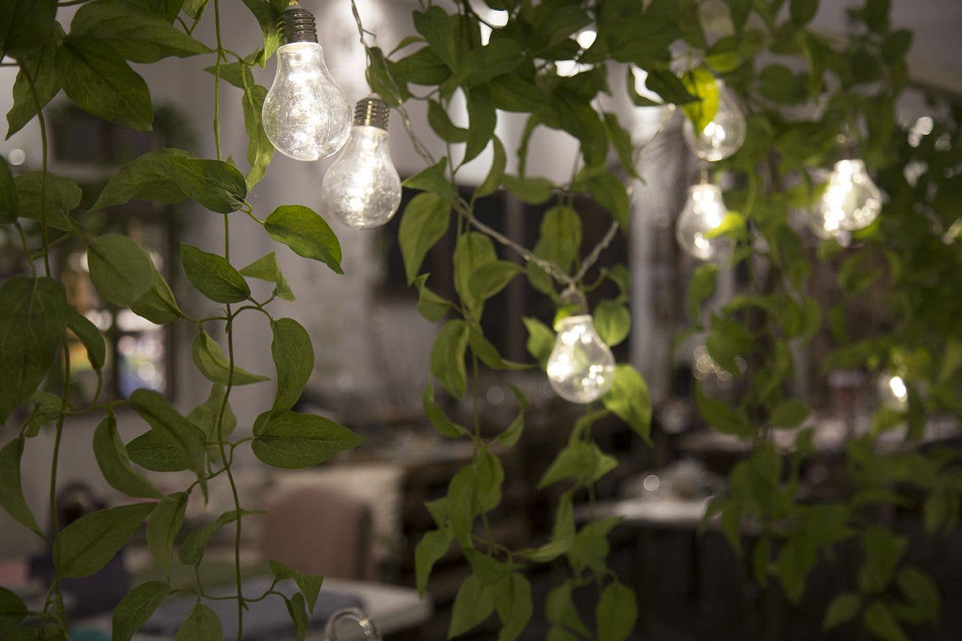 Fiorirà un giardino - Wholesale String Lights - Wire 10 Plastic Bulbs Current Extension Outdoor 500 cm2