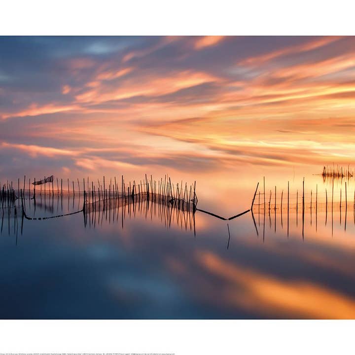 The Art Group – wholesale Art print – Fish Nets PPR53372