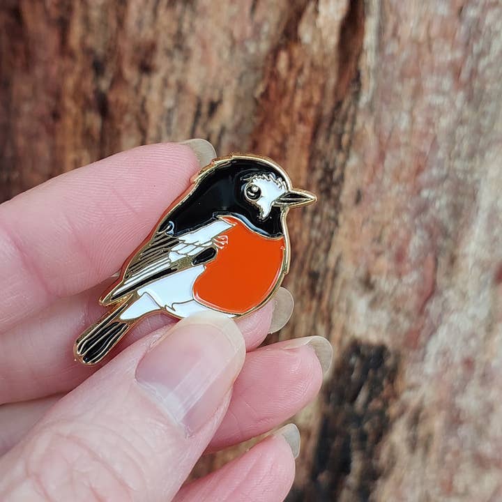 Patch Press - Wholesale Lapel pin/button - Scarlet Robin Bird Enamel Pin